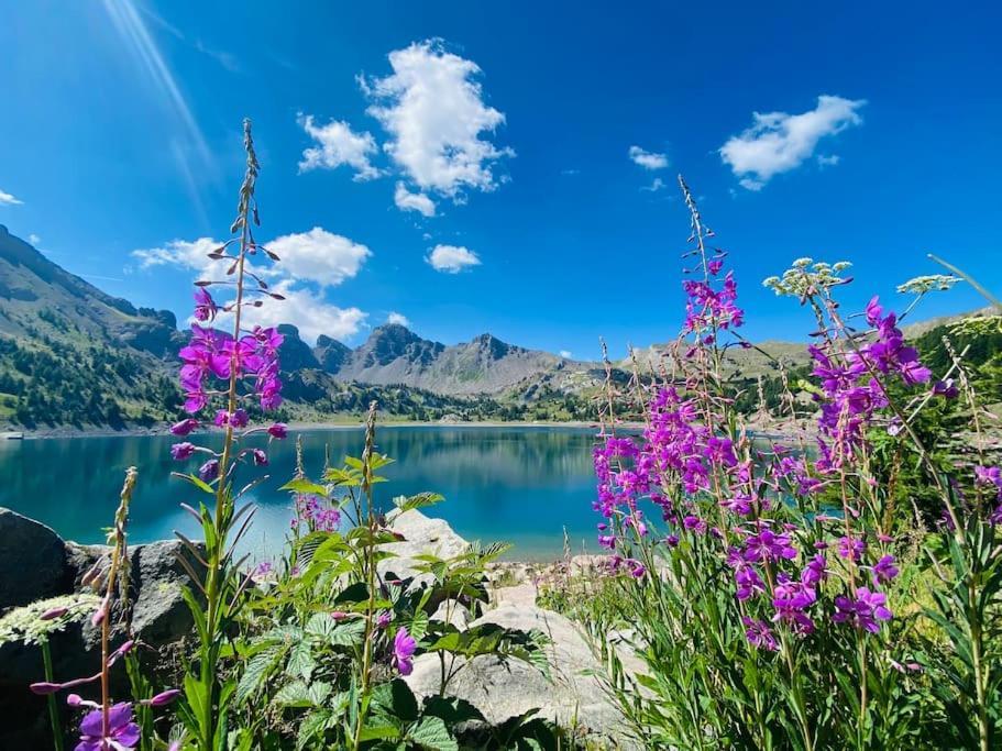 Studio De Charme Avec Vue Sur Le Val D'Allos, Parking Et Wifi Gratuit Εξωτερικό φωτογραφία